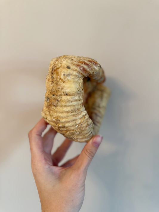 Buffalo Trachea Ring