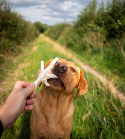 Puffed Chicken Feet 750g
