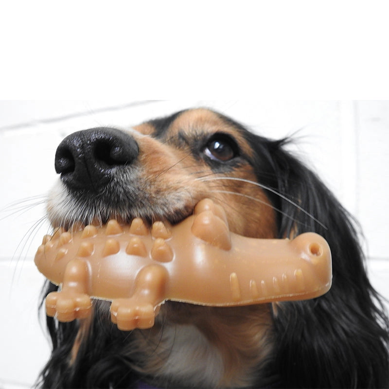 Peanut Butter Crocodile