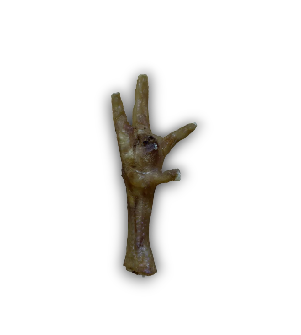 Chicken Feet