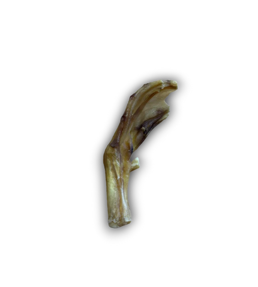 Duck Feet
