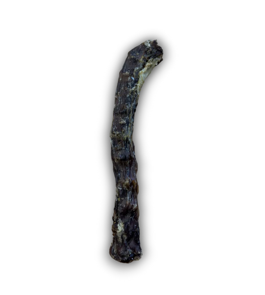 Duck Neck