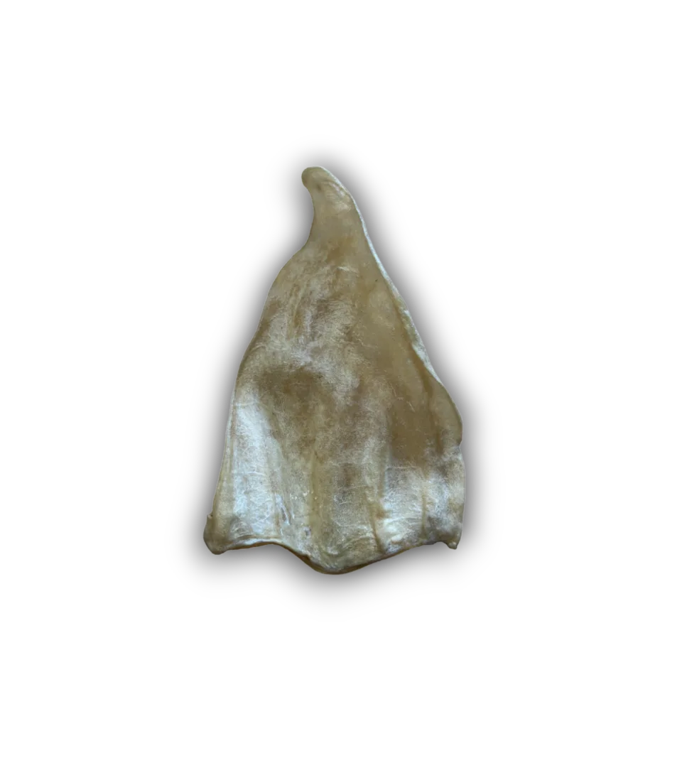 Cow Ear