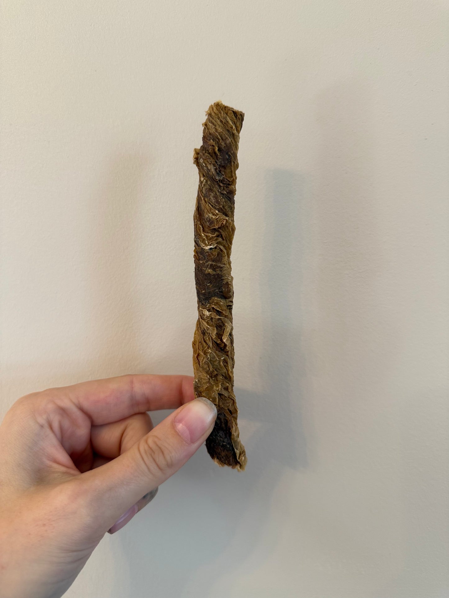Bladder twist