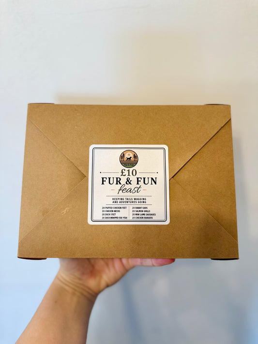 The Fur & Fun Feast