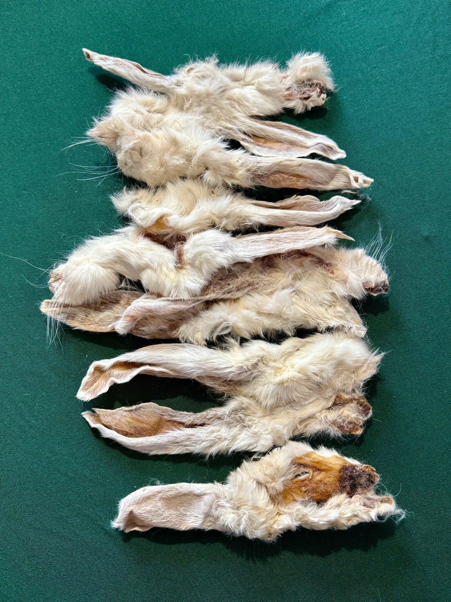 Hairy Rabbit Ears Pouch (10pack)