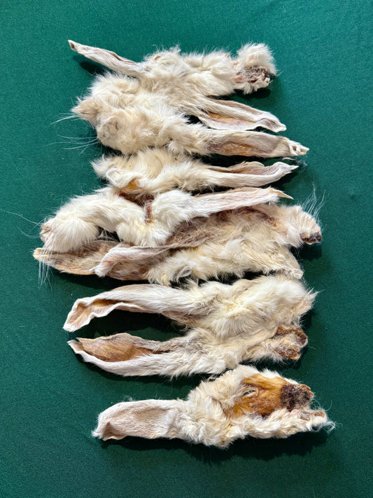 Hairy Rabbit Ears Pouch (10pack)