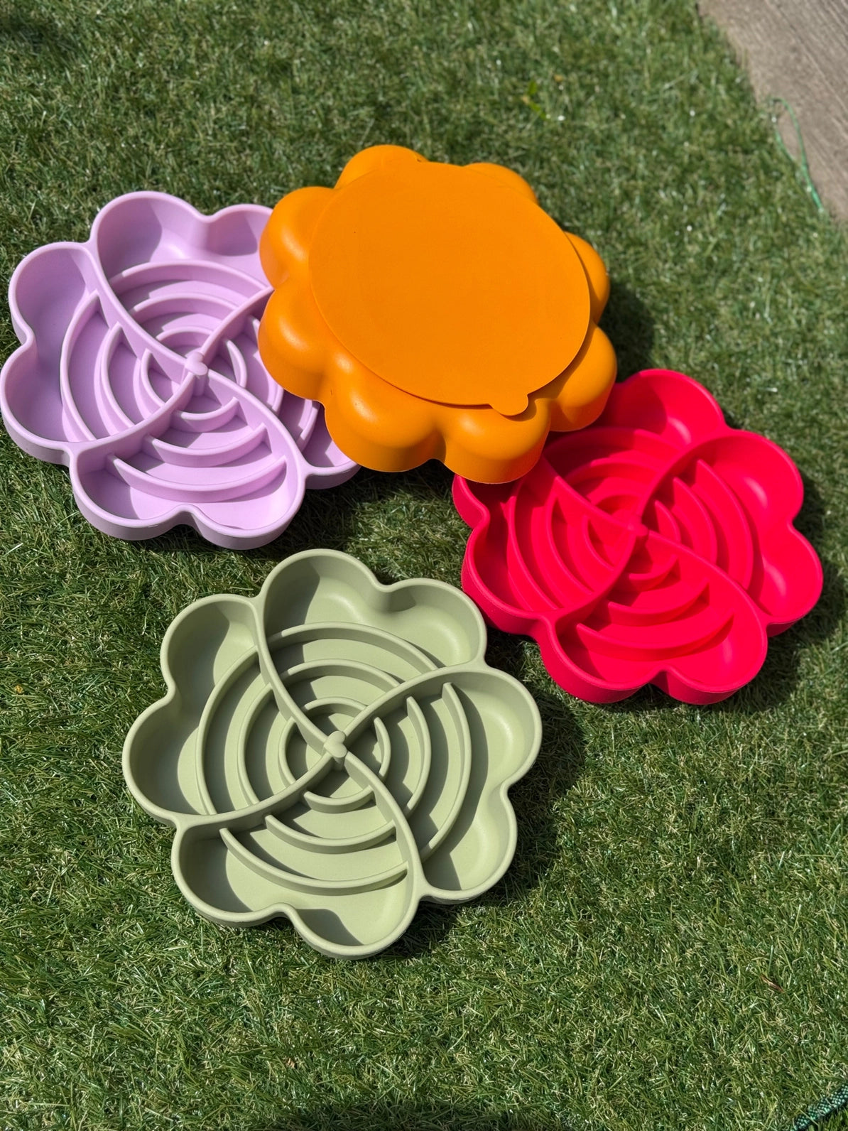 Spiral Bloom Enrichment Bowl
