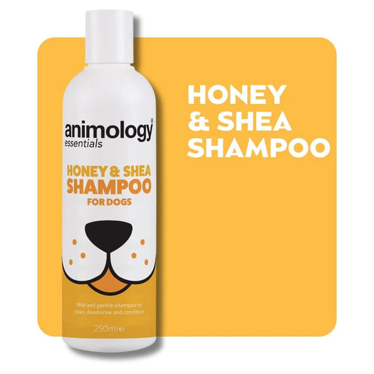 Animology Essentials Honey & Shea Shampoo