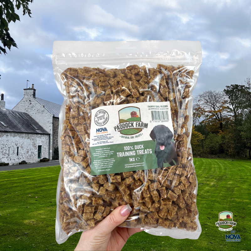 Duck Training Treats 1kg