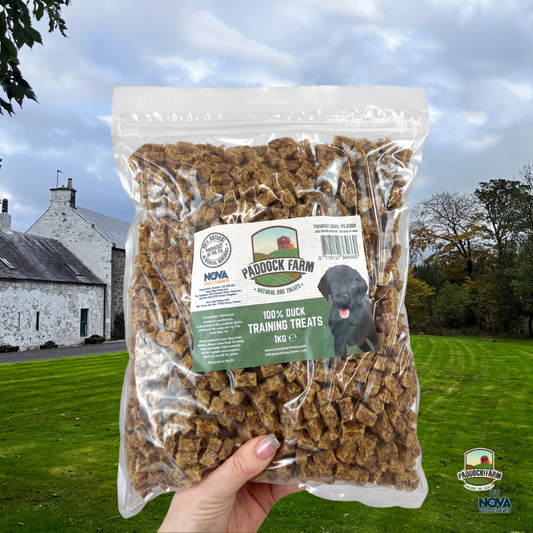 Duck Training Treats 1kg