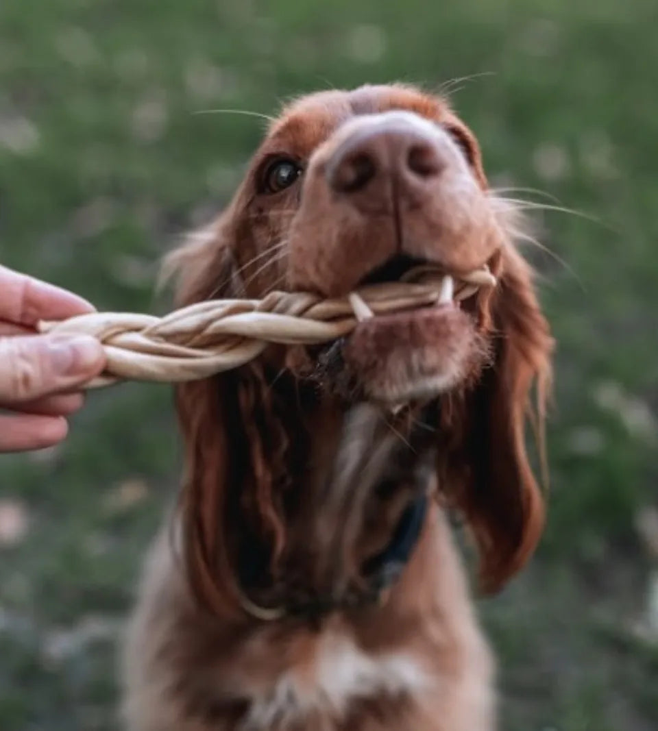 Goat Braid - Medium