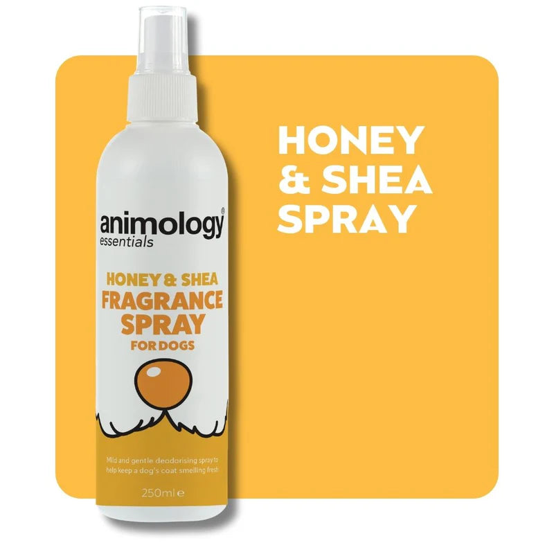 Animology Essentials Honey & Shea Spray