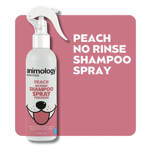 Animology Essentials Peach Shampoo Spray