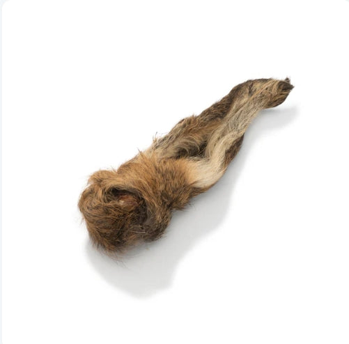 Hairy Venison Ear